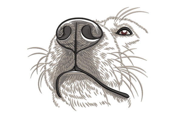 Close-Up Dog Nose Embroidery Review