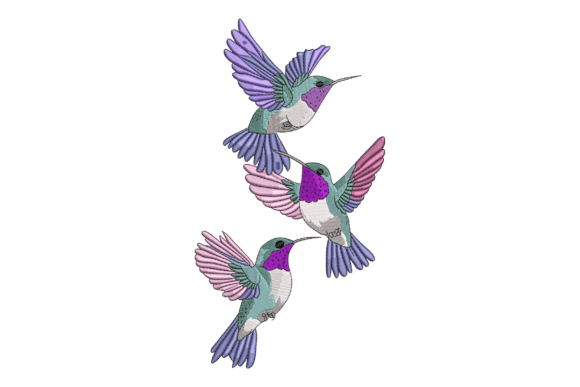 Colorful Hummingbirds Embroidery Review
