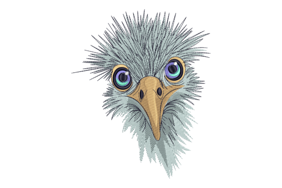 Funny Bird Face Embroidery Review