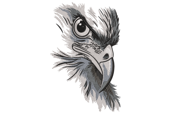 Majestic Eagle Head Embroidery Review